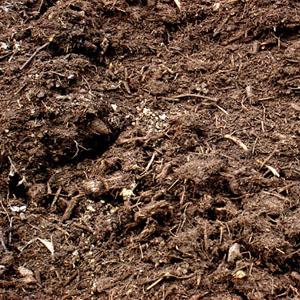 Spent Mushroom Compost